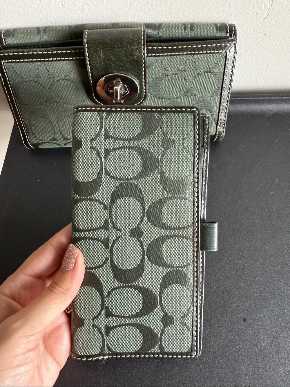 Coach classic y2k